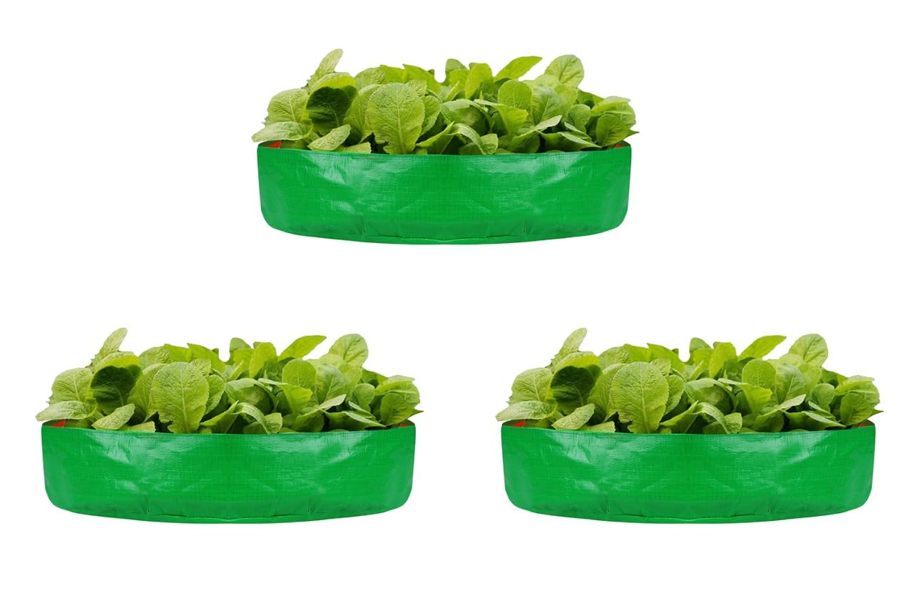 ROOT FRESH 24” x 6” (Pack of 3) HDPE UV Treated Big Size Grow Bags for Terrace and Leafy Vegetable Gardening | 260 GSM Growing Bag - Enhance Your Green Space with Easy-to-Use Planting Solutions. (B0CD6B8JM2) Amazon Price History, Amazon Price Tracker