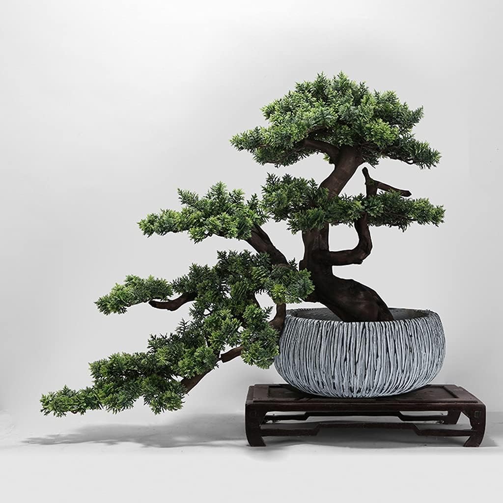 漆器 膳 富士山デザイン 10枚