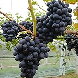 Müllers Grüner Garten Shop