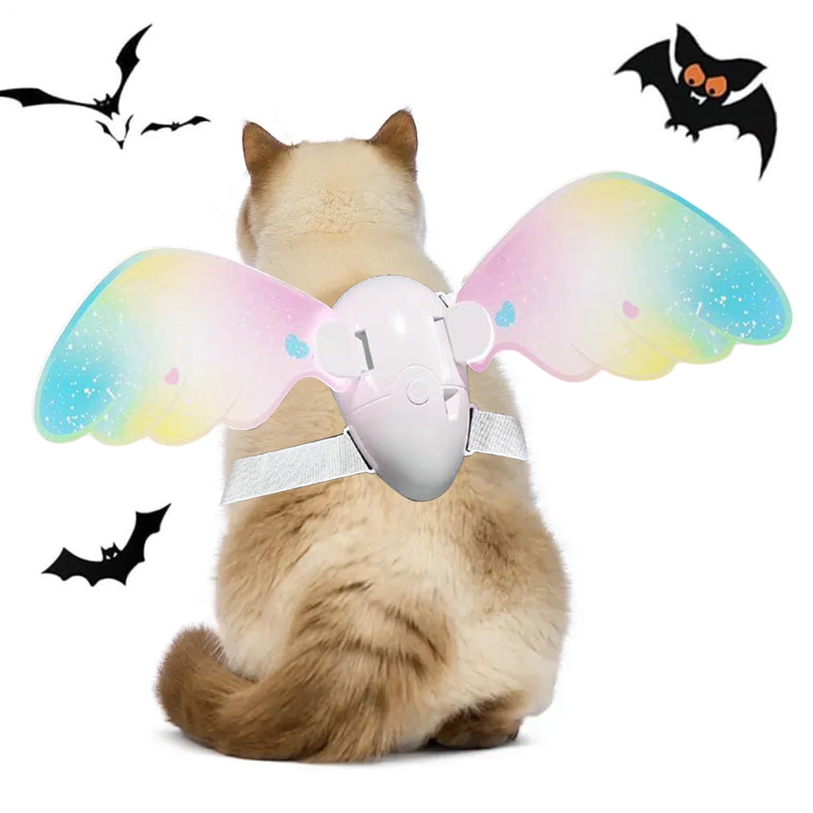 Aile de papillon pour chien : costume léger qui ne stresse pas l'animal