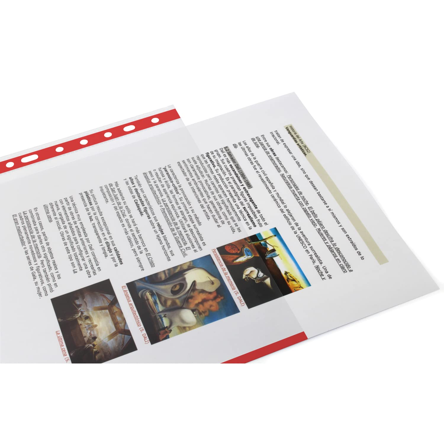 Grafoplás 5511051. Boîte de 100 pochettes transparentes multi-perçage, taille feuille, rouge, 16 perforations, polypropylène extra verre, pour classeur anneaux