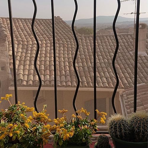 La lib&eacute;ration de Mandela