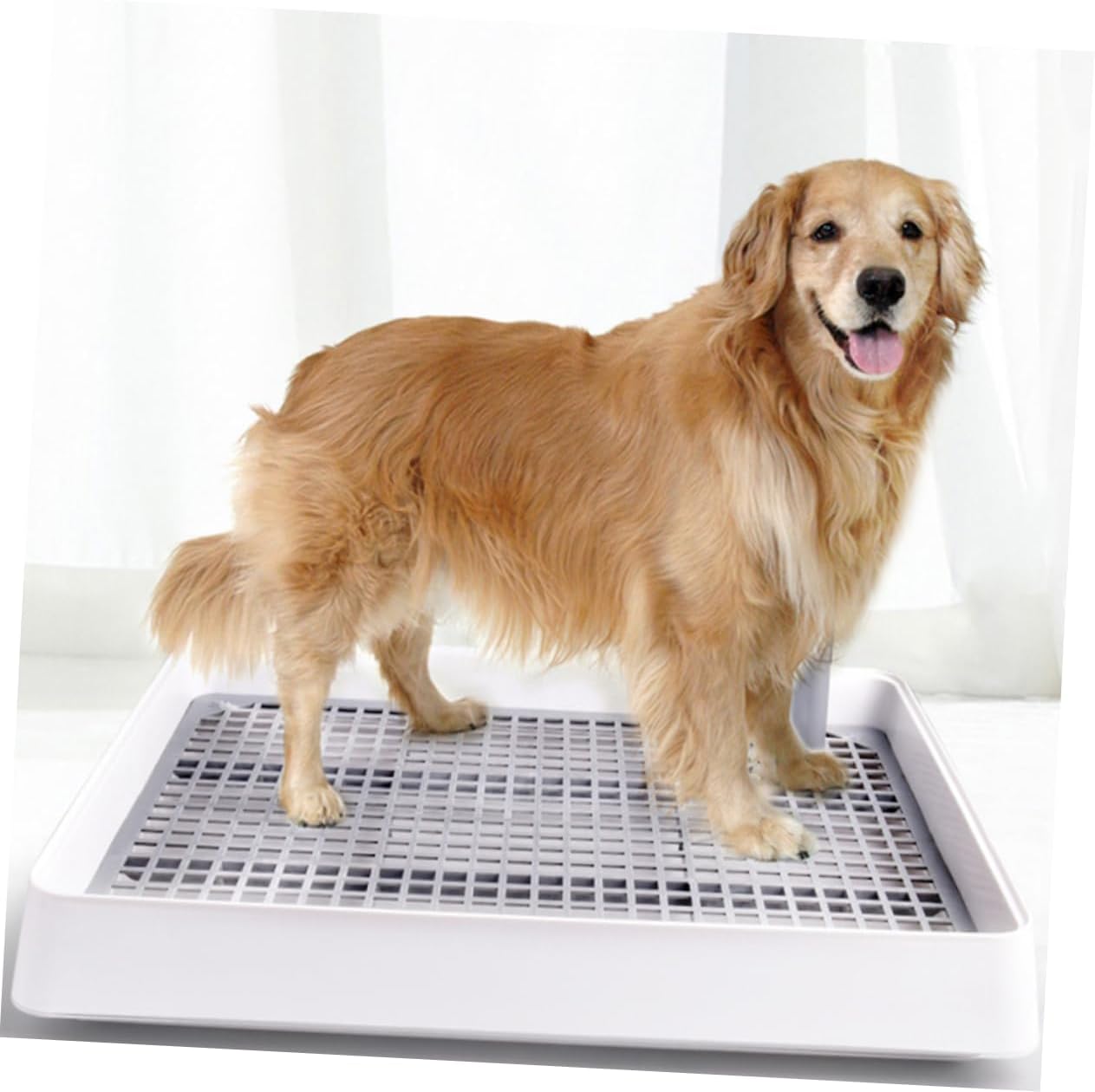 Milisten Thickened Dog Toilet Tray Indoor Pet Potty for Puppies Easy to Use Household Dog Supply Fixed Point Training Tool for Living Rooms Parks Gardens Compact
