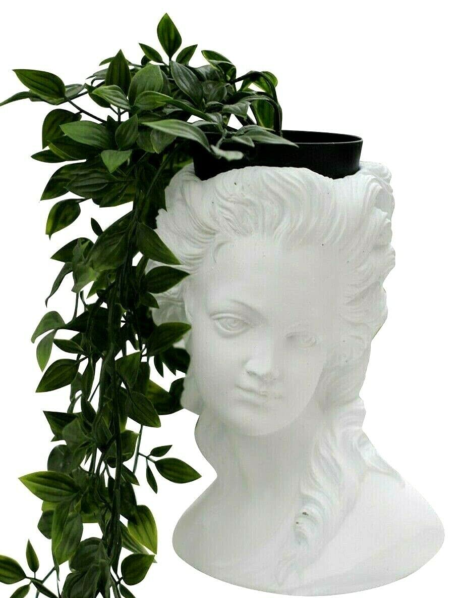 Garden Ornament Home Decor Dried Flowers Plant Potpourri Planter Outdoor Indoor
