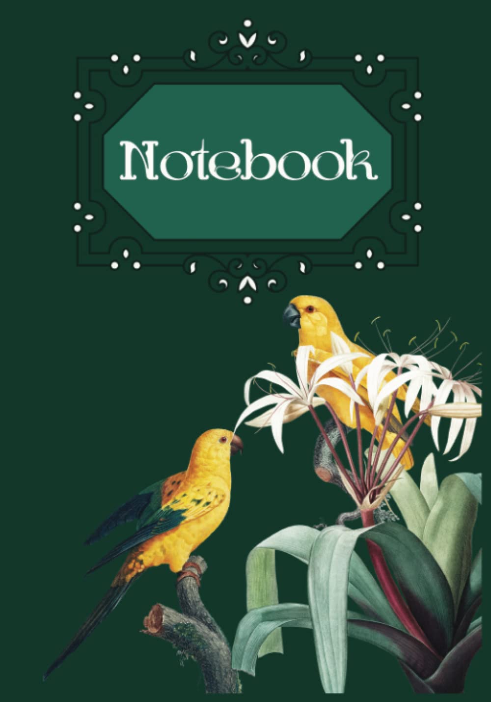 Notebook: Tropical Birds
