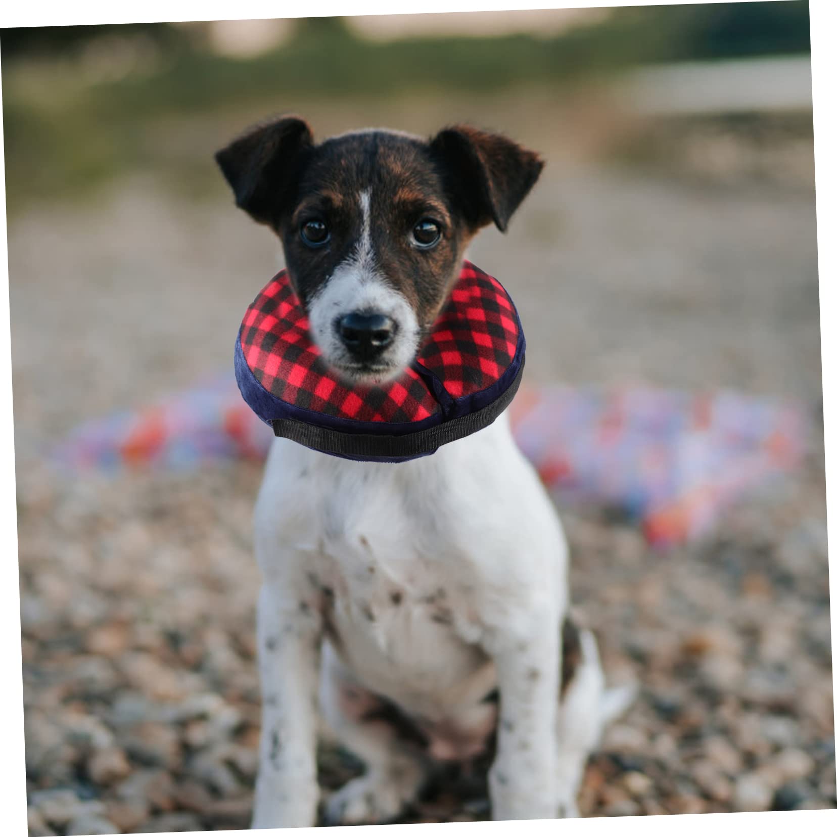 VANZACK 5pezzi Collare Protettivo Per Cani Inflatable Collare Elisabettiano Per Post-operazione Neck Collar Comodo Per Previene Leccare e Morsi