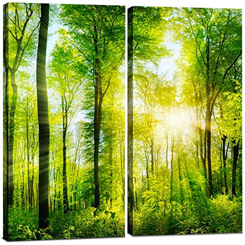 Best Canvas Print For Kitchen