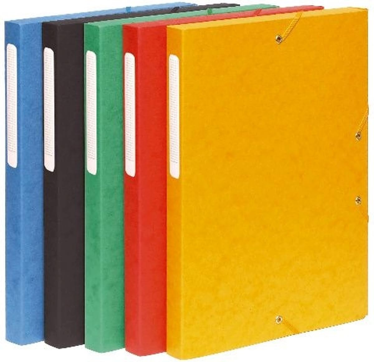 Exacompta 10 x Sammelbox Nature Future A4 40mm Manila-Karton farbig Sortiert