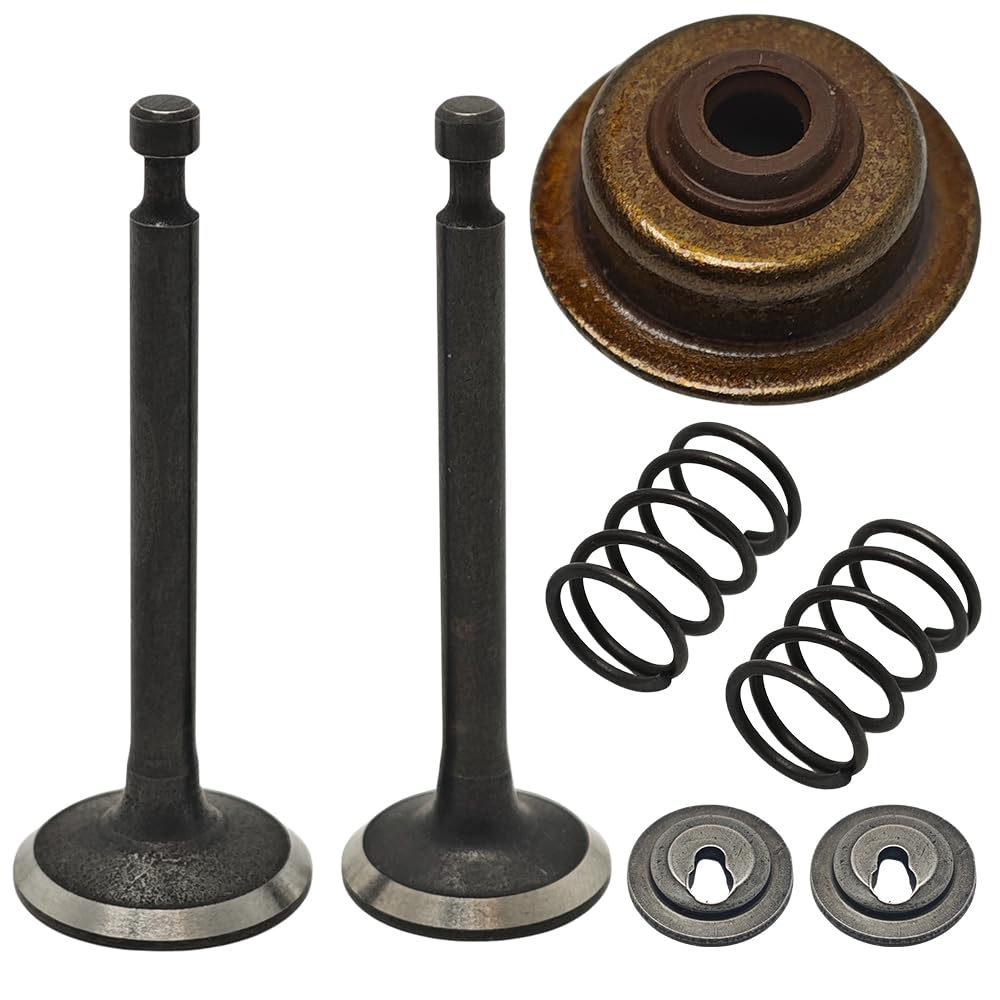Per Trimmer Ingresso di Aspirazione per la Molla Fermo Stelo Kit Blocco Tenuta Per Honda GX35 GX35NT HHT35S Decespugliatore Gas Piccolo Motore