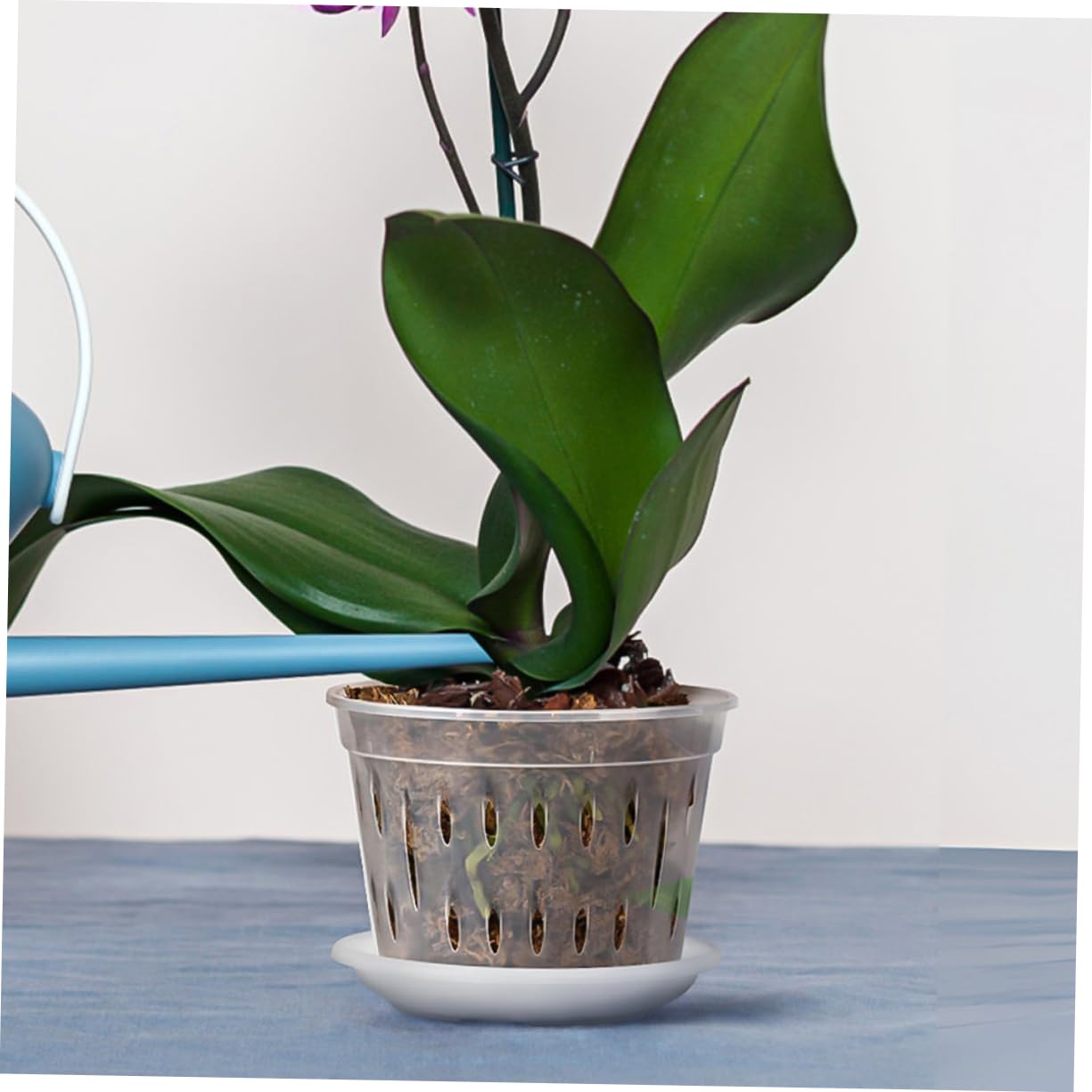 POPETPOP 15ensembles Pots à Orchidées Transparente avec Saucisses Plastique Pots Respirants à Drainage pour Plantes Orchidées Et