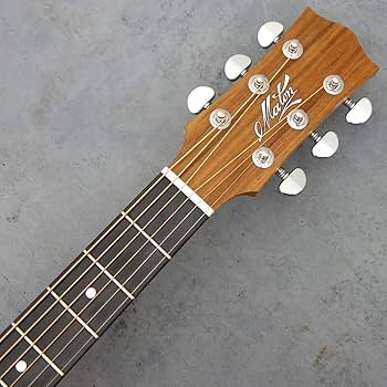 Amazon | Maton EBW808C/NAT エレアコギター メイトン