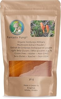 Cordyceps(Cordyceps Militaris) extract powder-36 grams-1 month supply-Fantastic Fungi® powdered organic, Cordyceps Militaris mushroom - Concentrated 100:1 Cordyceps extract powder ready to use