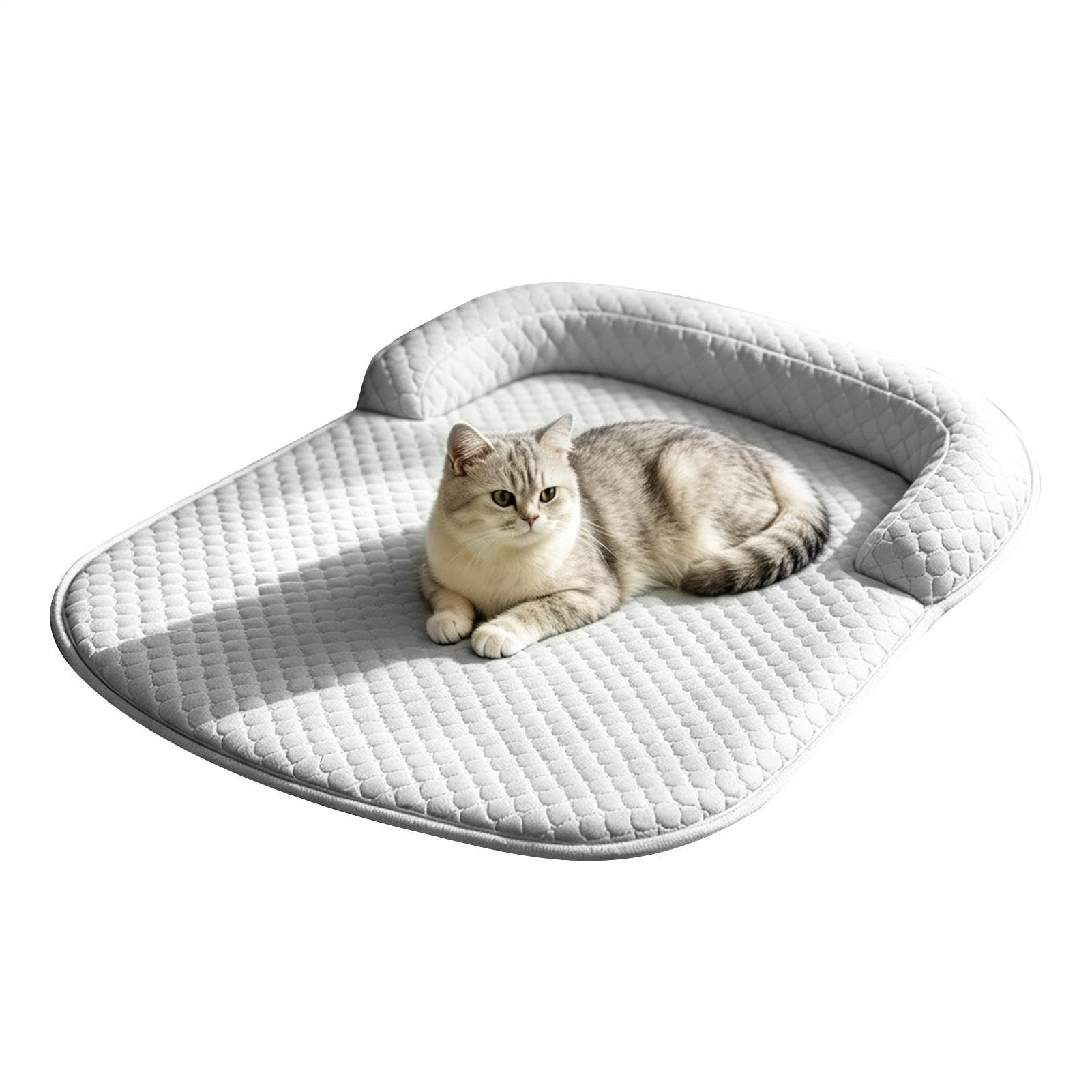 Tapis rafraîchissant pour chien idéal pour la cage de transport et les siestes d'été