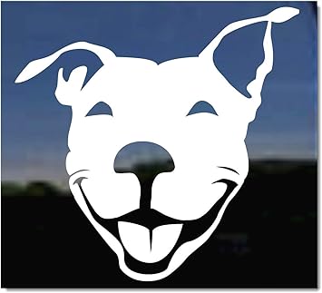 Pitbull decals for trucks Clearance