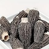 Dried Morel Mushrooms, 4 oz Dried Mushrooms For Cooking Dehydrated Mushrooms, Wild Mushrooms Dried Morel Mushrooms 干羊肚菌干货Shipping from California, U.S.
