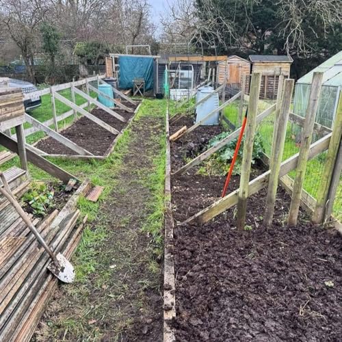EP.75 | Back on the Plot: Winter Plans, Polytunnels & Seed Dreams