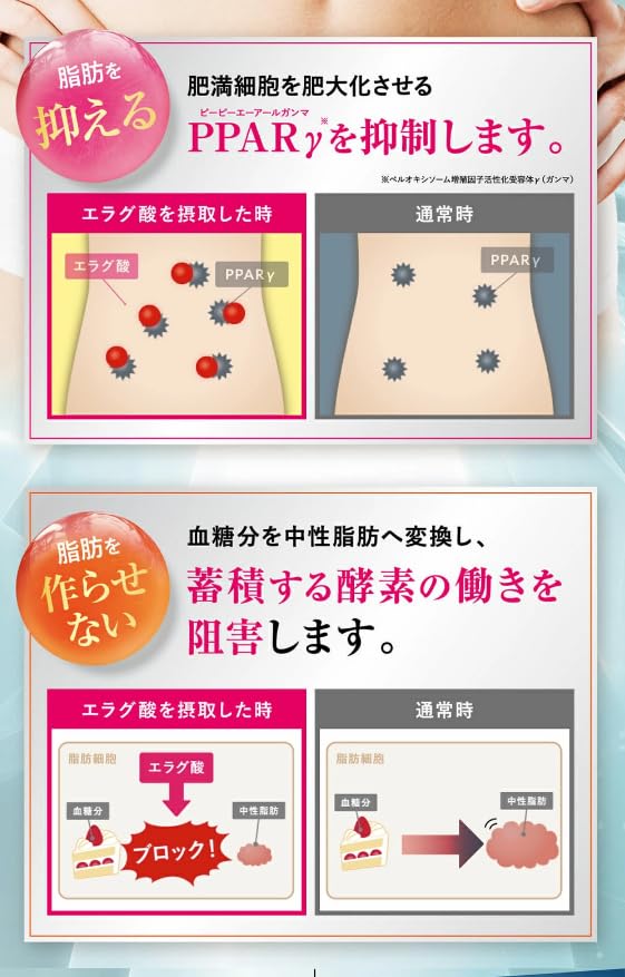 Amazon | Kanapy シボローカ サプリメント 約30日分 90粒 粒タイプ 食
