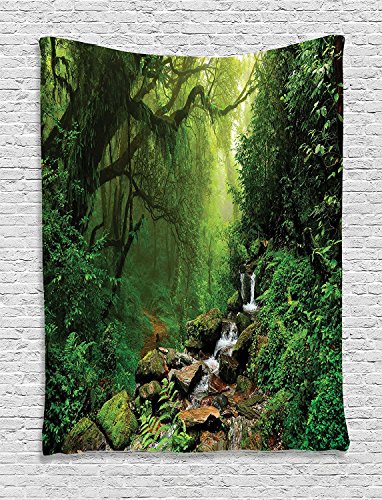 Ambesonne Rainforest Tapestry, Forest in Nepal Footpath Wildlife Spring Plant and Stones Moisture Water Print, Wall Hanging for Bedroom Living Room Dorm Decor, 40" X 60", Brown