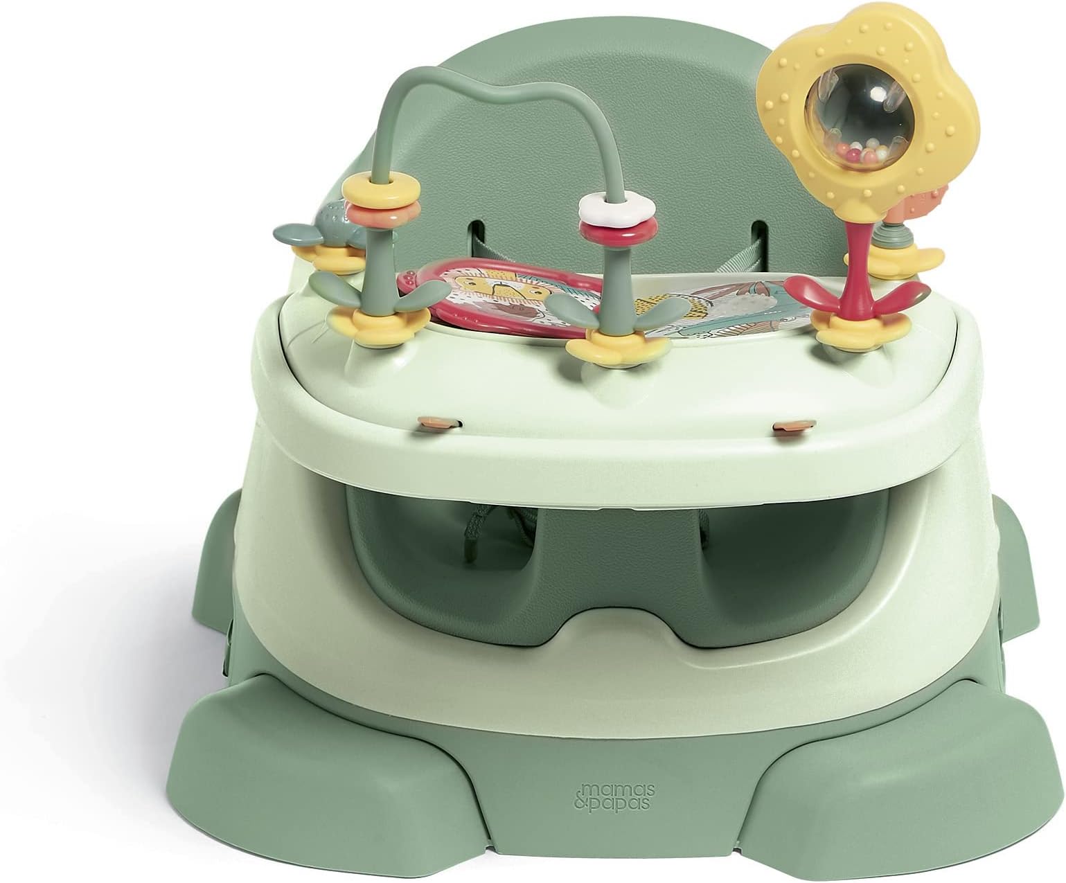Baby Bug
