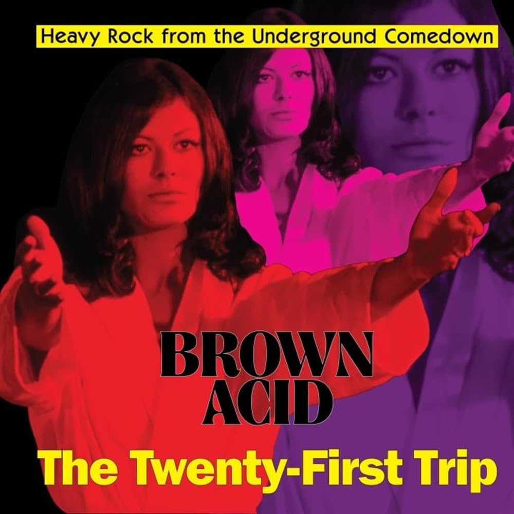 Brown Acid: The Twenty-First Trip [VINYL]