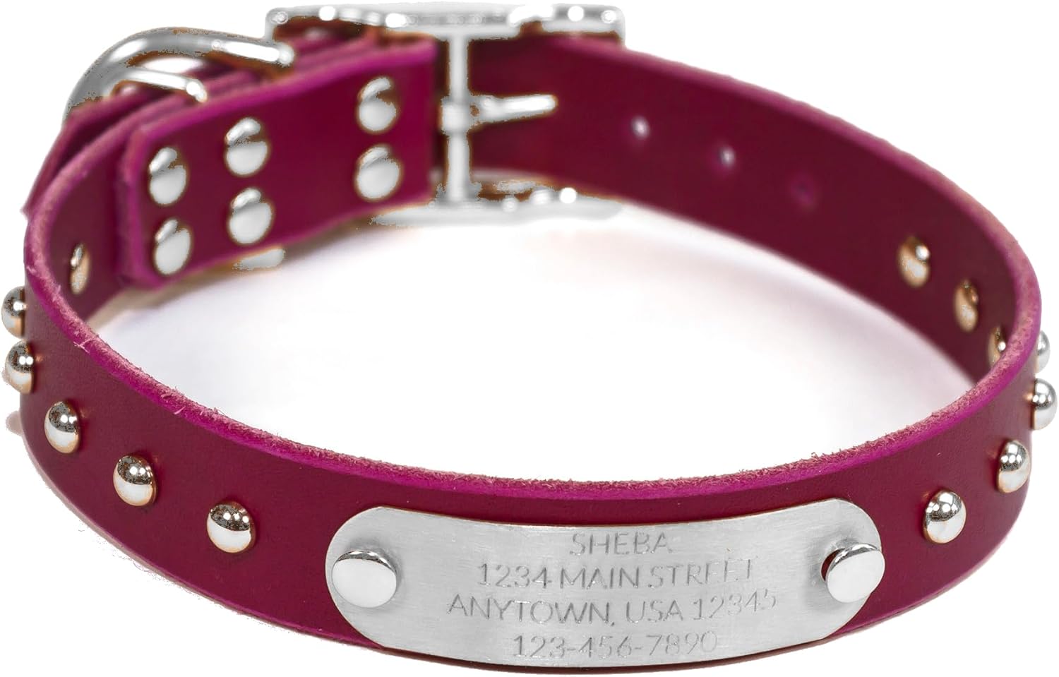 Handmade Studded Bridle Leather Dog Collar, Silver Tone Hardware and Stainless Steel Nameplate (Black)