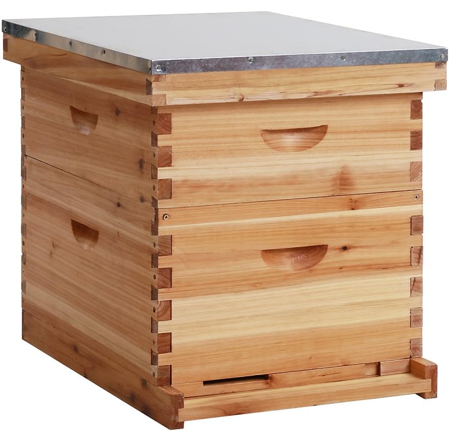 10-Frame Langstroth Bee Hive Coated with 100% Beeswax Includes Beehive Frames and Foundations (1 Deep Boxes & 1 Medium Boxes)