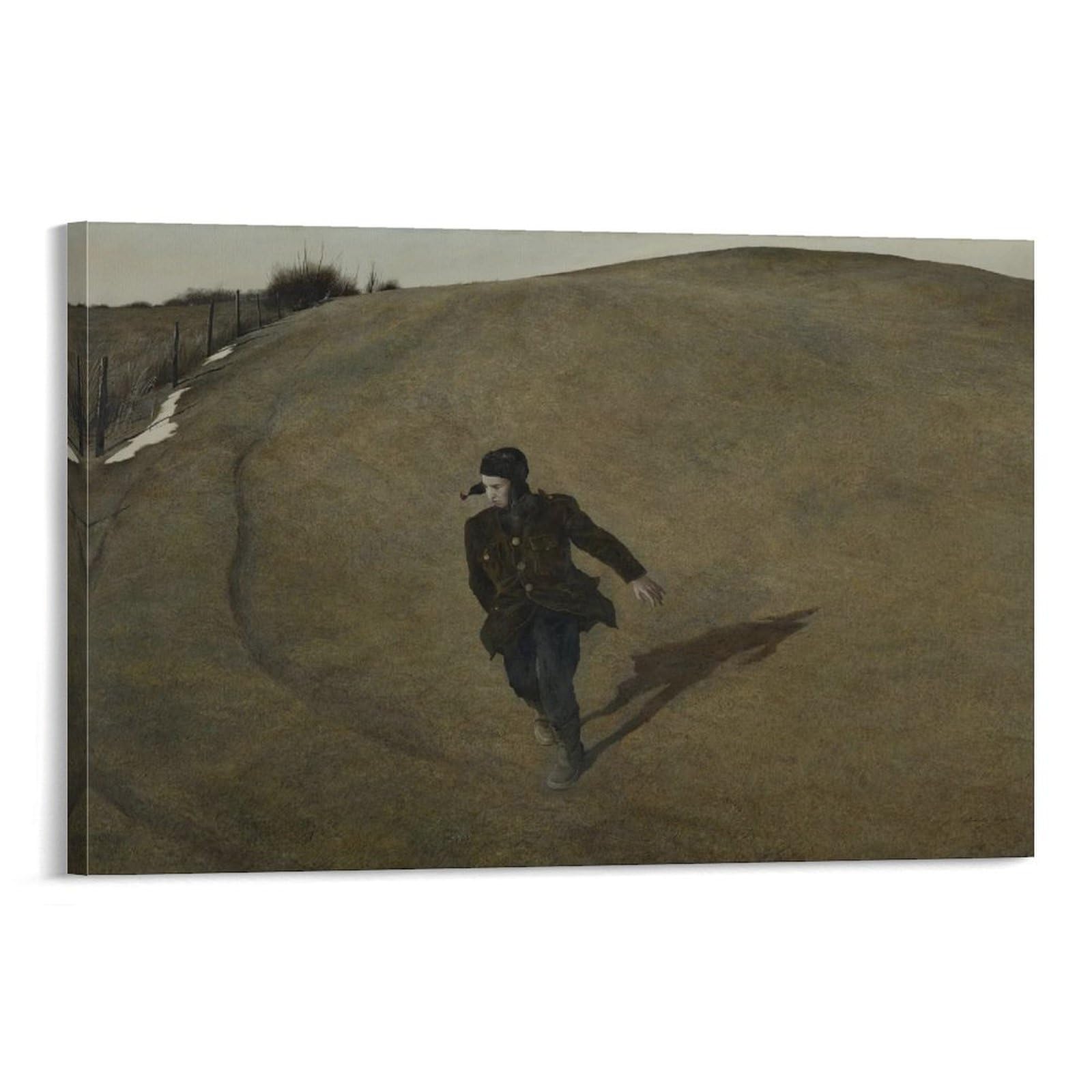 Z-79) 【アンドリュー・ワイエス 大っきいポスター】 Amazon.co.jp