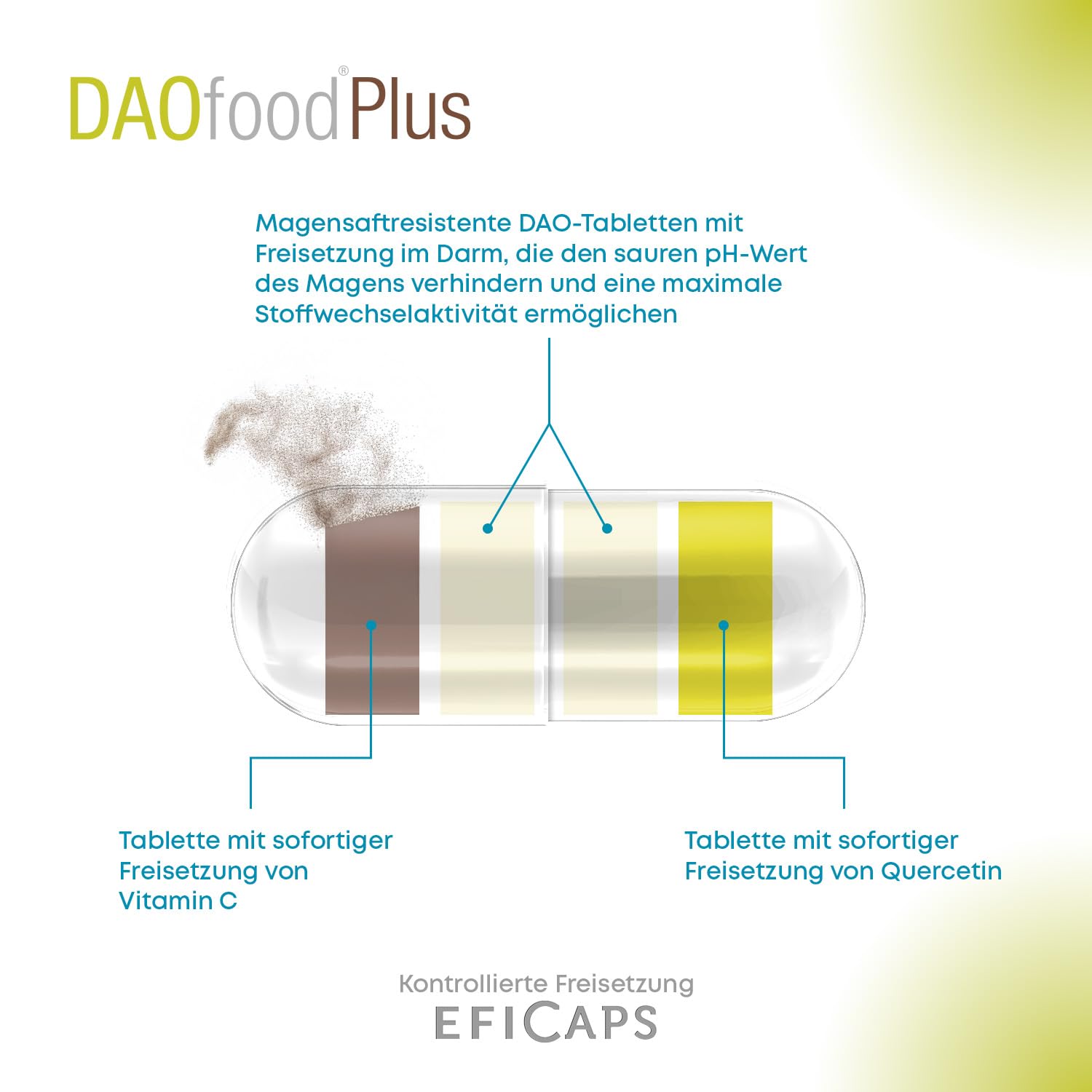 DR Healthcare - DAOfood Plus - DAO-Enzym - Quercetin und Vitamin C - Trägt zum Gleichgewicht der Nahrungsmittelhistamin bei - 60 Kapseln mit magensaftresistenten DAO-Mini-Tabletten
