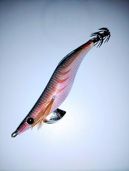 エギ王q ダークブラウン レッド 廃盤 3.5号 ライブ 赤テープ BDBRA Amazon.co.jp: py 廃盤 ヤマシタ エギ王Qライブ 3.5号 B01