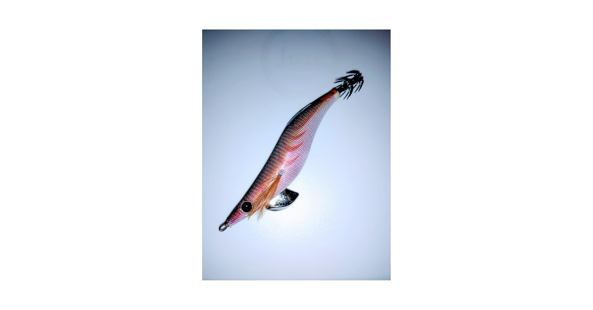 61-Eoh3o4KL.jpg_BO30,255,255,