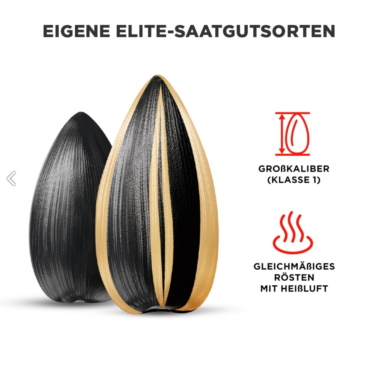 Sonnenblumenkerne JINN/Джин 300g x 10 Geröstet Ungesalzen
