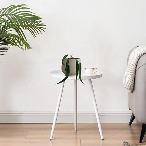 Miniatura 8 de Anthurium Pallidiflorum - Plantas vivas verdes para interiores plantas de interior raras y exóticas para sala de estar plantas vivas de Anthurium