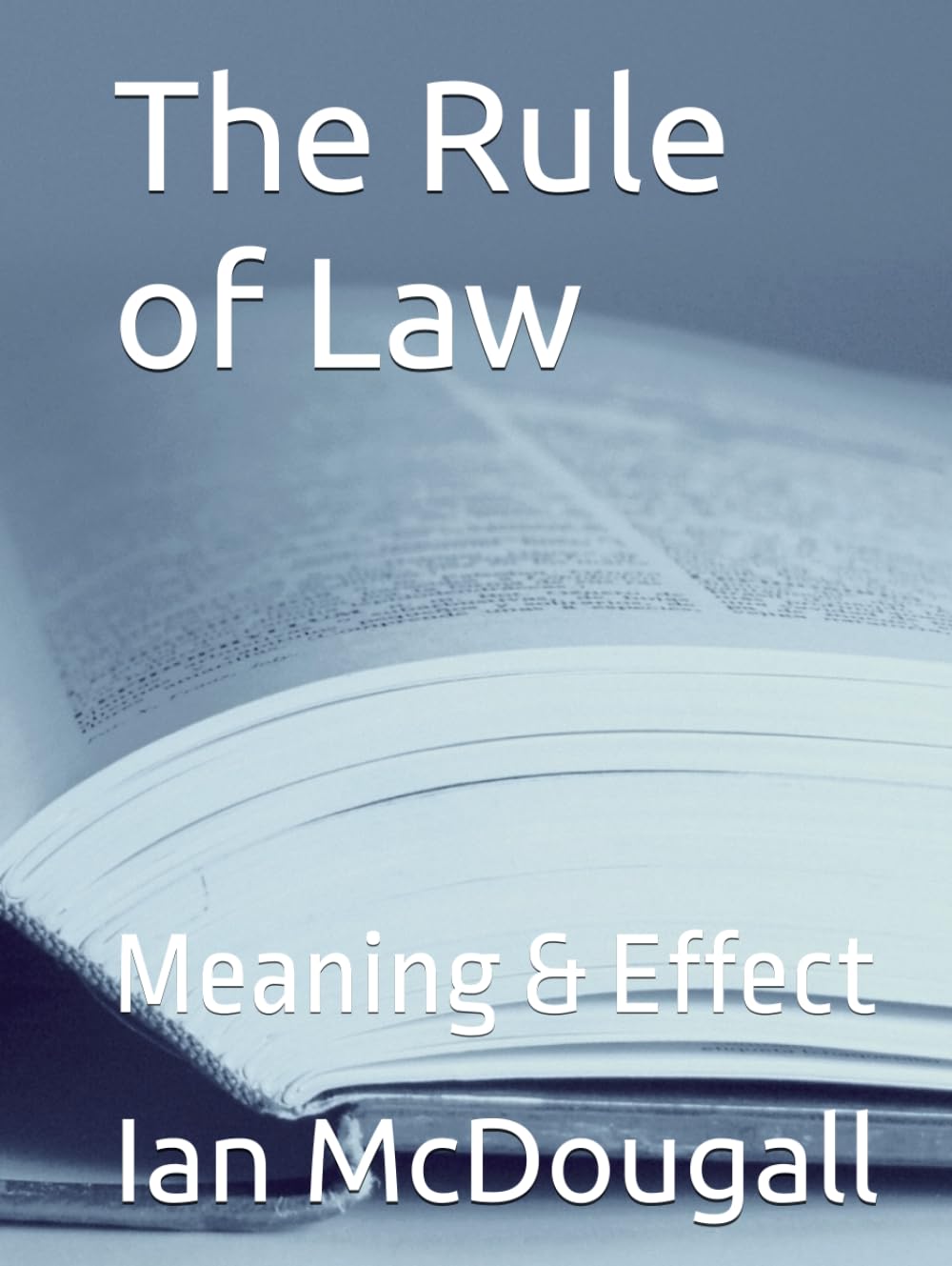 The Rule of Law: Meaning & Effect