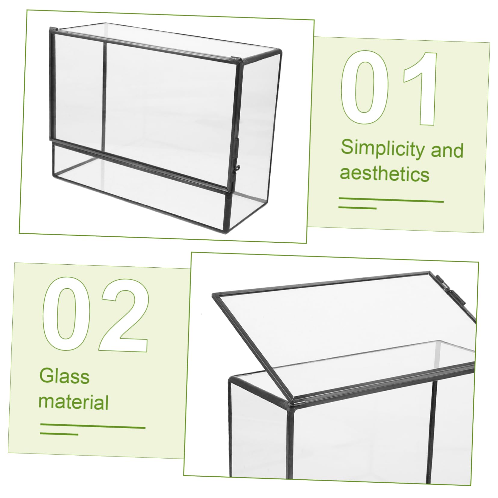 Terrario Fai da Te in Vetro per Piante e Muschio, Mini | Contenitore Paesaggistico Geometrico, Finitura Trasparente Liscia, Uso su Tavolo Pranzo o Piano Cucina