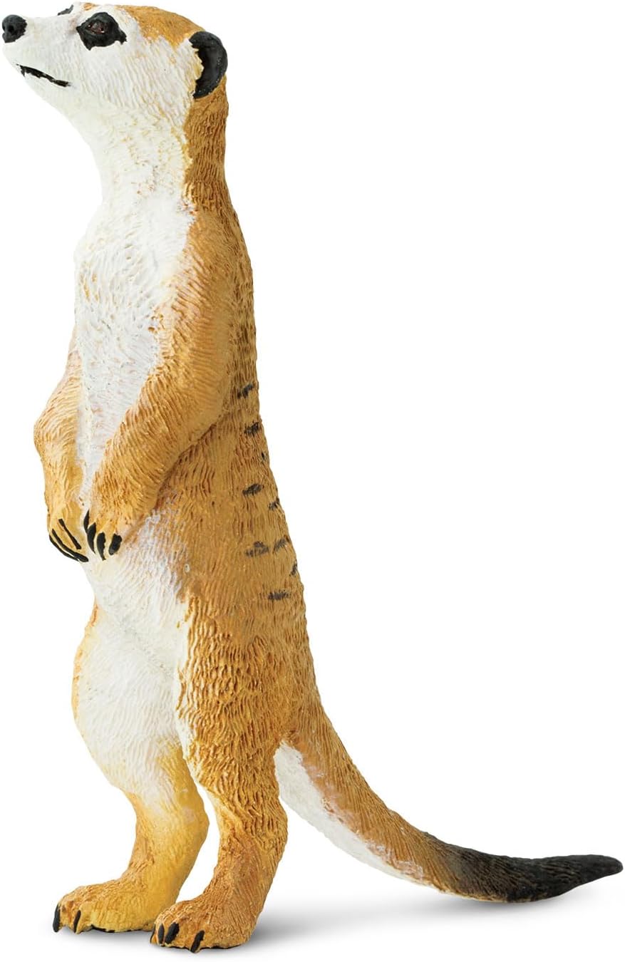Safari Ltd. Meerkat Figurine - Hand-Painted, Lifelike 3.25" Model Figure - Fun Educational Toy for Boys, Girls & Kids Ages 3+