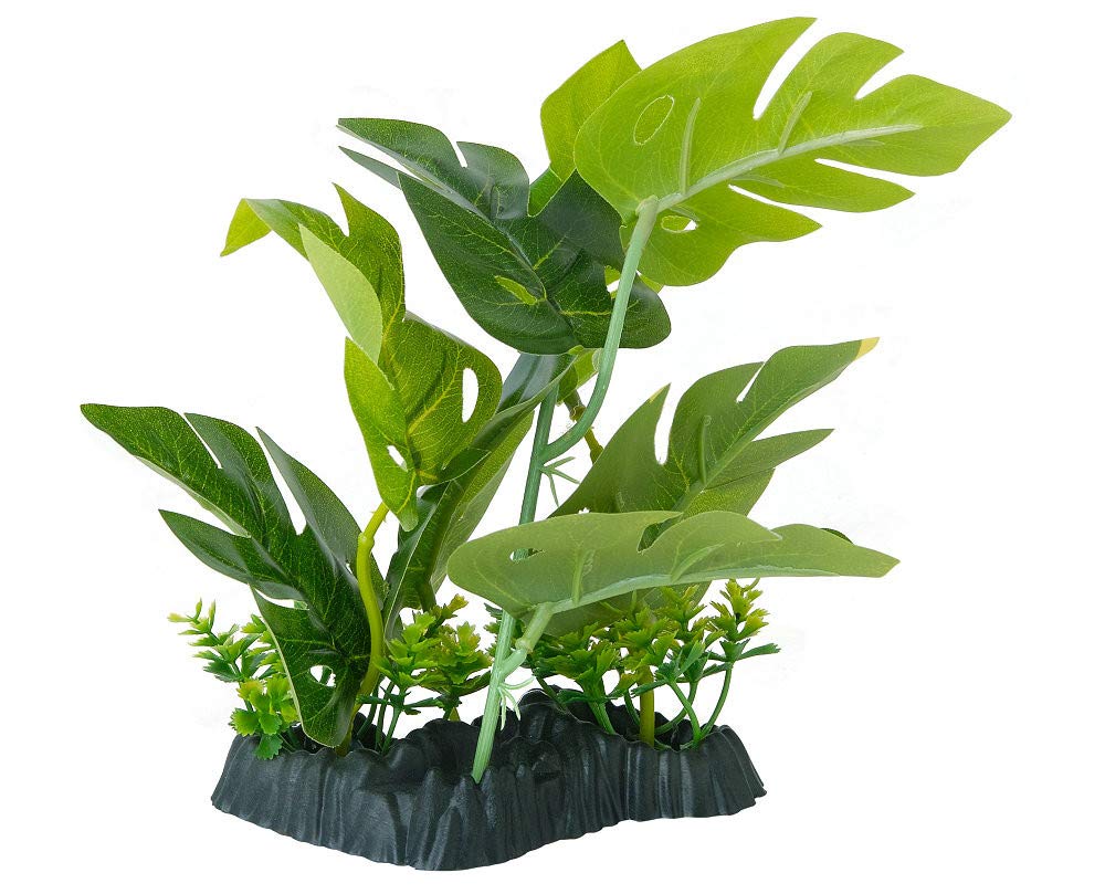 Clean Artificial Plants Decor For You