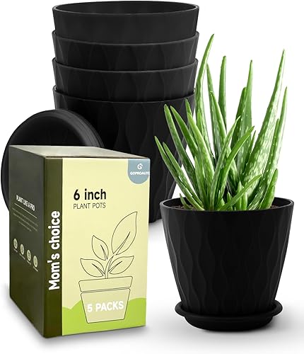 Miniatura 9 de Macetas de interior de 6 pulgadas con orificio de drenaje y platillo de bandeja, macetas para plantas y flores de jardín de interiores y exteriores,