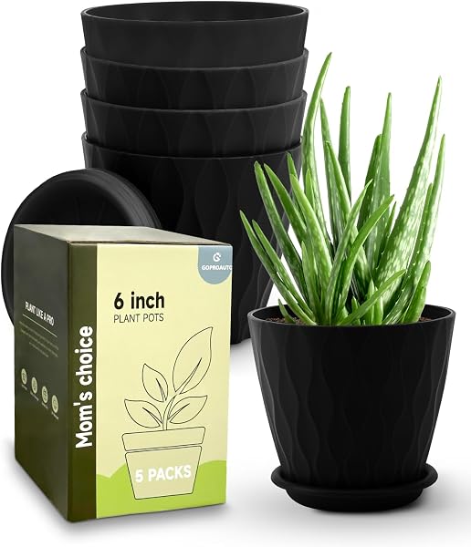 Goproauto 6 Inch Indoor Planter Pots with Drainage Hole and Tray Saucer