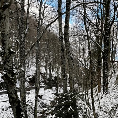 Episodio 21 - Il podcast di Luca Pelorosso