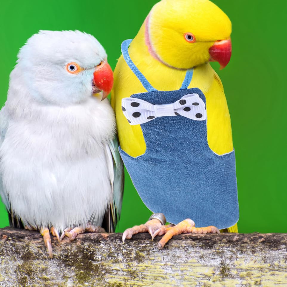Pañal para Pájaros Traje de Vuelo Transpirable M Algodón | Reutilizable, para Cacatúas y Aves Pequeñas, Uso en Casa y Exterior, Diseño Tipo Capa Interior