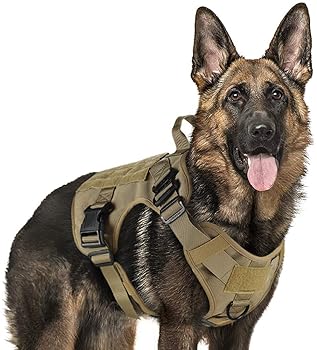 pisces pet emporium turtles