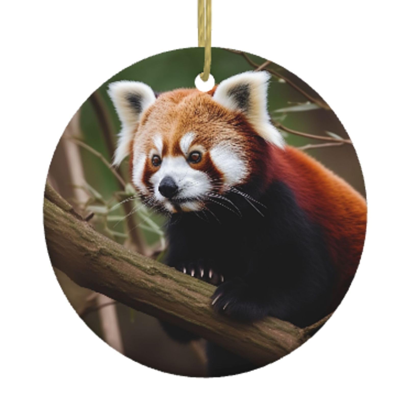 Ceramic Christmas Tree Hanging Ornaments with Gold Ropes Christmas Tree Decorations Round Ceramic Red Panda on Tree Branch Pendant Keepsake Decorations for Holiday Xmas Gift Ideas