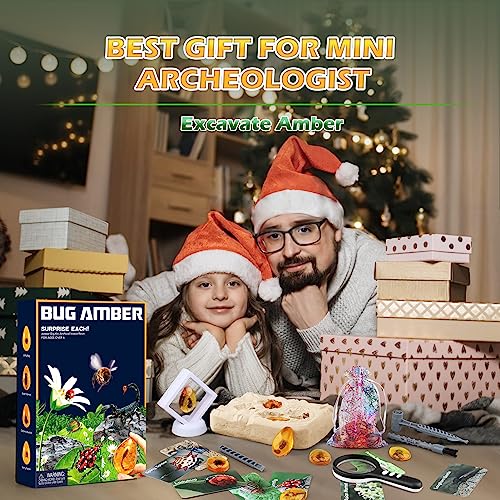 Woumserta 860 Amber Dig Kit - Insects In Resin thumb #6