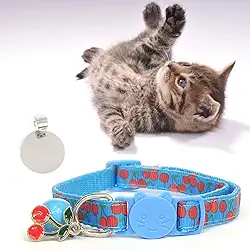 Coleira Ajustável para Gato, Cachorro e Pets Pequenos, com Plaquinha de Identificação em Aço Inoxidável Gravada a Laser (Azul)