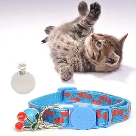 Coleira Ajustável para Gato, Cachorro e Pets Pequenos, com Plaquinha de Identificação em Aço Inoxidável Gravada a Laser (Azul)