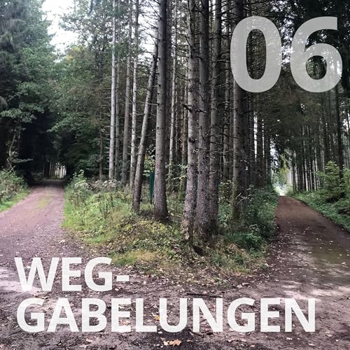 #06 &ndash; Weggabelungen Titelbild