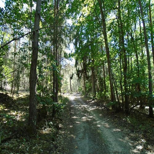 Page de couverture de Faire r&eacute;gresser le stress