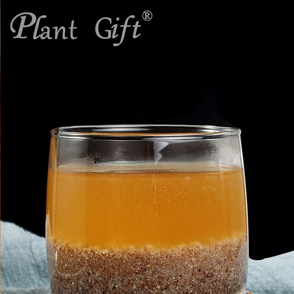 Plant Gift 100% Ziziphus Jujuba Kernel Powder 100G/3.25oz 酸枣仁粉, Nicht-GVO-Pulver, Maisgrieß, keine Füllstoffe, keine Zusatzstoffe, natürliches Zitronenmehl, toller Geschmack für Getränke