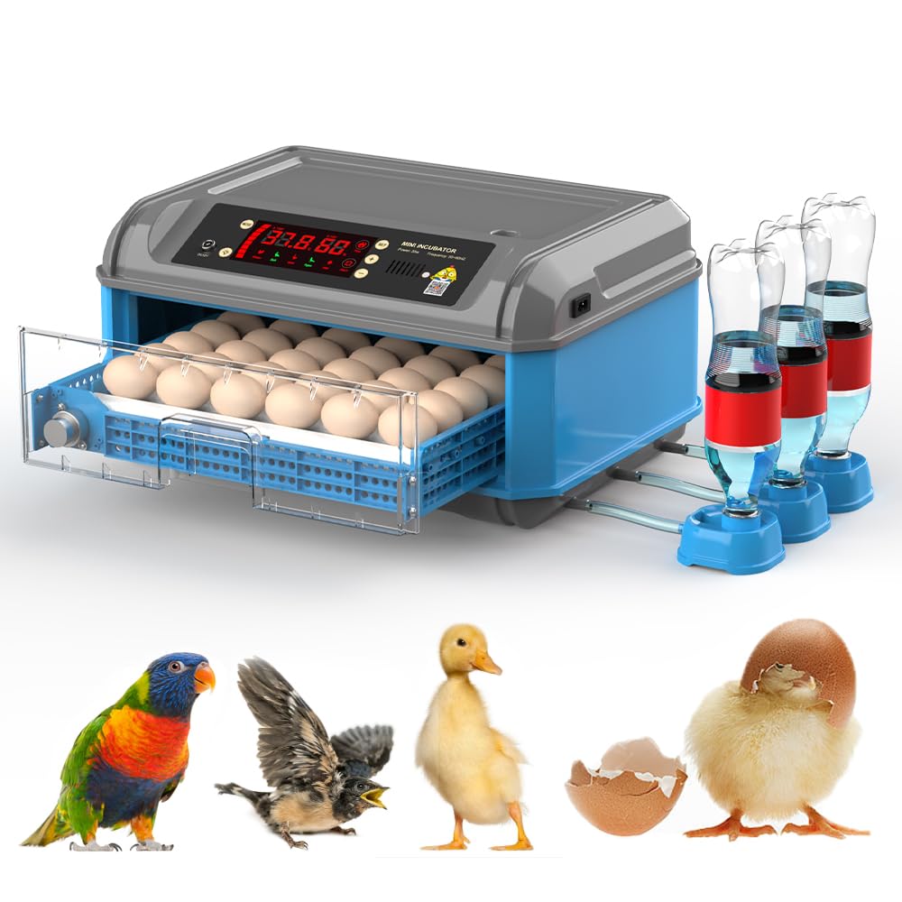 Amazon.com : Automatic 16-24 Chicken Egg Incubator & Turkey
