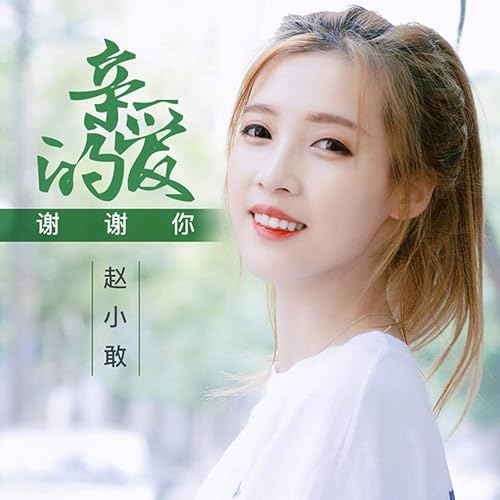 親愛的謝謝你 伴奏 By 趙小敢 On Amazon Music Amazon Com